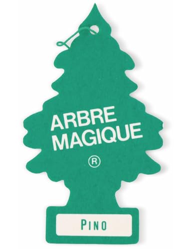 Preisvergleich Produktbild Wunderbaum Kiefer