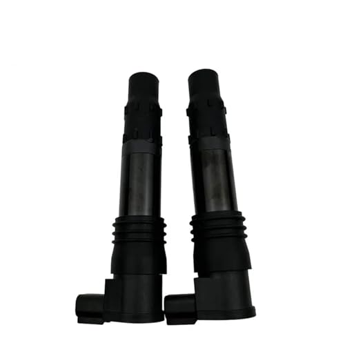 Bobine d'allumage 129700-4180 pour moto ER-6N et Ninja 250R | Lot de 2 pièces