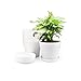 KINGLAKE 8 Stück 14cm Blumentöpfe Pflanztöpfe Klein, übertopf Pflanztopf Anzucht Plastik mit Untersetzer, Blumentopf Kunststoff Set, Topf Kleine Flower Pot für Pflanzen Kakteen Sukkulenten-Weiss