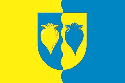 Drapeau de Söllingen U24 pour remplacer un pavillon usé de 150 x 250 cm