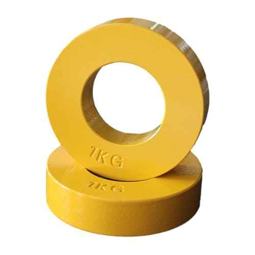 YIJU 2x Fractional Micro Weight Plates Change Weight Shatterproof 3.86