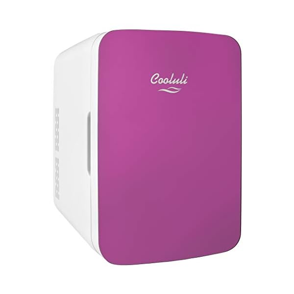 Cooluli 10L Mini Fridge for Bedroom Car, Office Desk & College Dorm Room 12v Portable Cooler