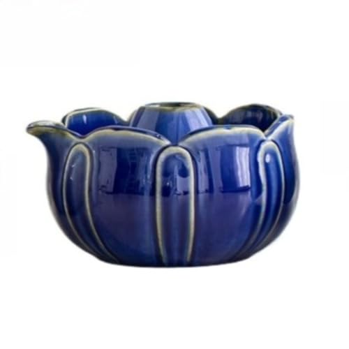 Fiozwea �@�������q�����a������Z�b�g�����풆���t�B�I�Y�E�B�A�v�㒍������������Z�b�g (�q�ϗ�8�_�Z�b�g�ł�)