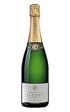 🇫🇷 PROCEDENCIA: Nuestro Champagne Marie Copinet es de procedencia íntegra de Francia. Vendimias manuales con madurez óptima. Históricamente ligada al 'terroir' de Champagne, la bodega Marie Copinet es el fruto de varias generaciones de enólogos. Con los años, estas generaciones modernizaron y consolidaron un interesante patrimonio vinícola.