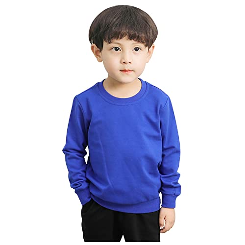 Betadog Boys Crewneck Sweatshirt Youth Sweatshirts Long Sleeve Basic Pullover Soft Warm Thin for Kids (Blue, 2-3 Years)