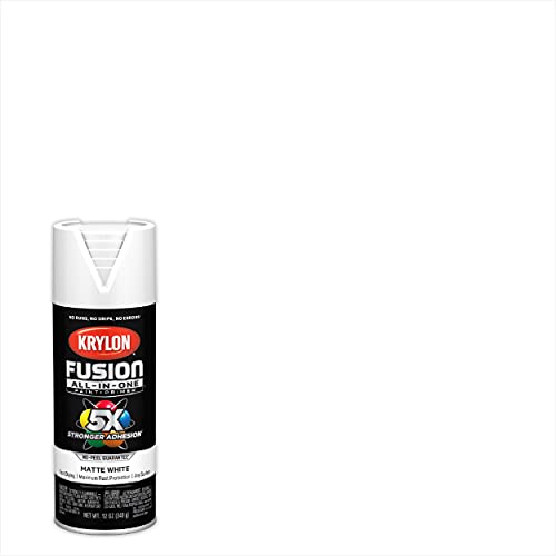 Krylon Fusion All-In-One Adhesive Spray Paint for Indoor/Outdoor Use, 12 oz, White