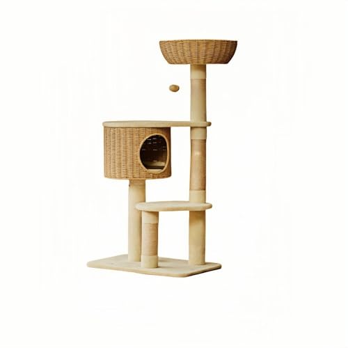 ؐLbg^[yVR؎gpz^  ^Lp  ҂݃P[W CeA W]t ^Lp ȃ[v Bꏊ 芴 ^s ē~p (؂̐F,002)