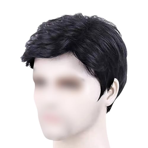 GSHLLO Mens Short Black Wig Daily Costume Wig Short Hair Replacement Wig Men Fancy Dress Wig Fluffy Cosplay Wig Layered Synthetic Wig Halloween Costume Party Wig