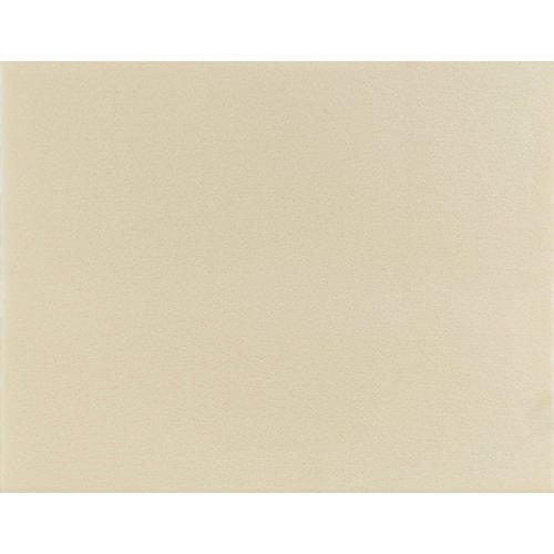 Preisvergleich Produktbild ZANUSSI 50287782002 Dunstabzugshaubenzubehör / Filter