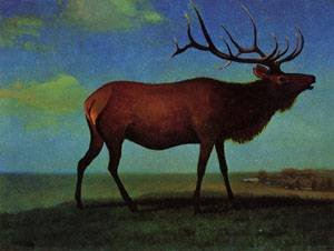 Peinture à l'huile Reproductions de Elk Albert Bierstadt Tableau Nature 12x16