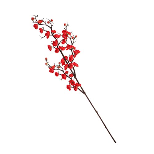 XLWLLNJ EFfBOzf[t[fR[Vp̐lH~̉Ԃ̎}VNt[, 