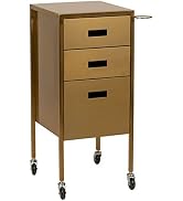Buy-Rite Electra Metallic Styling Trolley, Portable Metal Styling Station for Salons, 3 Large Uti...
