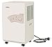 Deumidificatore Master DH 721 21L-24h