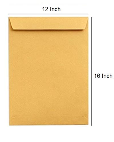 Image of True-Ally Laminated Yellow Paper Large Size Envelope Ideal For Home Office Secure Mailing | Poly Laminated inside | 12 x16 inch (Pack of 20)