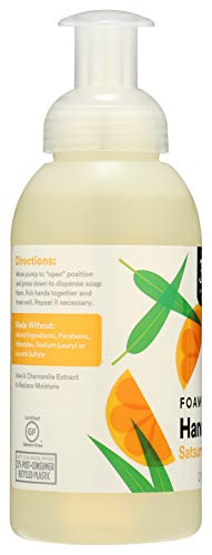 Image of 365 by Whole Foods Market, Hand Soap Foaming Satsuma Eucalyptus, 12 Fl Oz (Pack of 2)