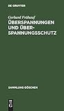 Überspannungen und Überspannungsschutz (Sammlung Göschen, 1132, Band 1132)
