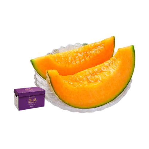 [2026年6月より順次発送]ふらの山部の絶品メロン『鳳凰』 2L(1.8〜2kg)×2玉(坂口農産)メロン フルーツ 果物 新鮮 甘い 贈り物 ギフト 道産 ジューシー おやつ ふらの ブランド 夏