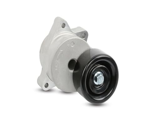 Poulie de tension de courroie 31170-RFE-006 pour Odyssey RB1 2005-2008