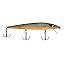 Sunbeam Bream