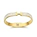 LeoYletc 18K Gold and Silver Plated Bangle Bracelet for Women Stainless Steel with Cubic Zirconia Womens Jewelry Gifts (18K Gold)
