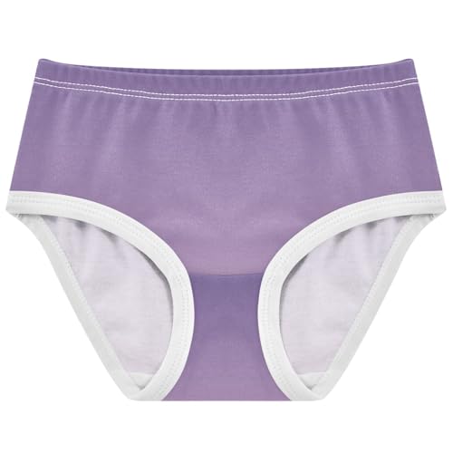 Joisal Cotton Toddlers Underwear Floral Violet Lilac Gradient Ombre Panties Little Girl Fancy Briefs Undies Kids 2t
