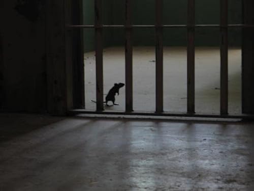 Season 2, Episode 12: &rdquo;The Bitter End, too&rdquo;