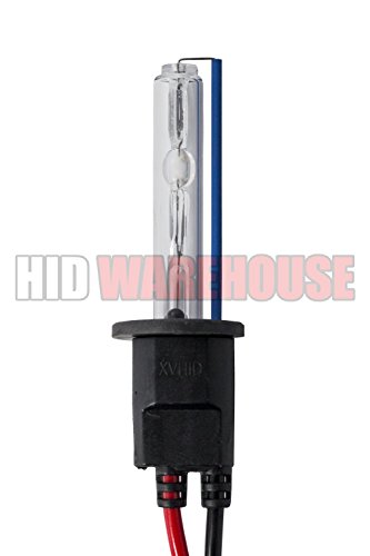 Image of AC HID Xenon Replacement Bulbs - H1 8000K - Medium Blue (1 Pair)