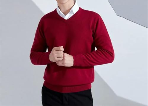 Men's Solid Classic V-Neck Sweater Cashmere Knitted Pullover Long Sleeve Warm Loose Jumper Top2