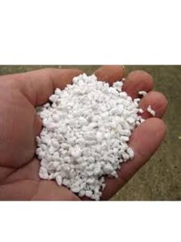 Perlita Expandida para Substrato de Suculentas Cactos Rosa do Deserto e Outras Plantas 10 Litros