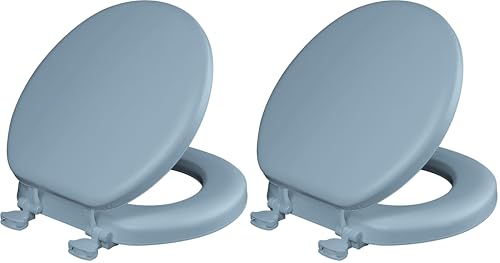 Image of Mayfair Padded Toilet Seat, Cushioned Soft Vinyl over Wood Core Seat, Secure Hinges, Easy Clean, Made in USA, Round, Sky Blue (Pack of 2)