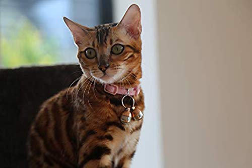 Beau'S Bells 2 Extra Loud Cat & Dog Bells thumb #8