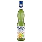Fabbri 1905 - Sirope de Lima, Limón y Jengibre 560 ml con sirope de lima y limón y extracto de jengibre. Sin gluten y elaborado en Italia. Para cócteles y bebidas refrescantes.