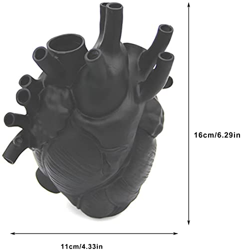 HYKITDAY Vaso anatomico a forma di cuore, stile