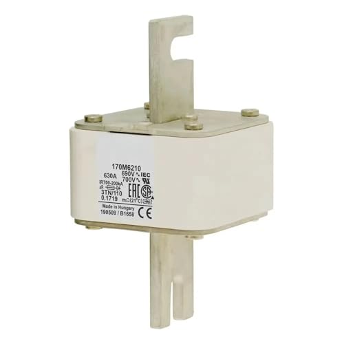 Fusible 170M6217 pour éviter les pannes de surtension sur les systèmes 170M6210 et 170M6216