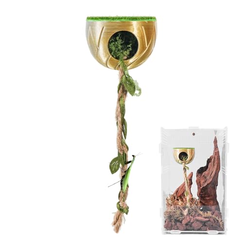 nGgO ANZT[ | Εt ঒ ^N  | nGgO n - ^` J}L T\ p V o x ̉a ANAE P[W