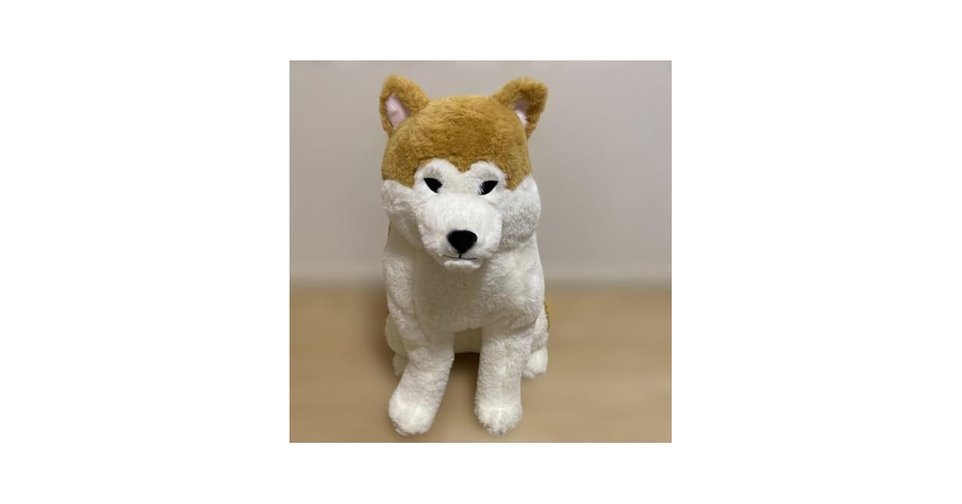 ほっこり秋田犬 はち兵衛 ST ぬいぐるみ ≪5月の新商品≫ほっこり秋田犬はち兵衛-NEW ITEM！｜アミューズ