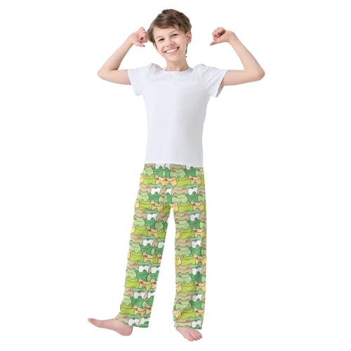ZZXXB Funny Frogs Pattern Boys Long Pants Soft Trousers Elastic Waist Kids Lounge Bottoms with Pockets S-XL2