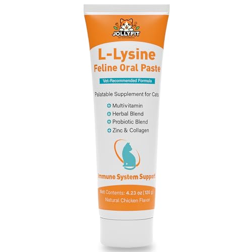 L-Lysine for Cats Oral Paste Immune & Respiratory Support for Felines with Collagen Zinc Multivitamins & Probiotics Natural Chicken Flavor 4.23 oz (Orange 1 Pack)