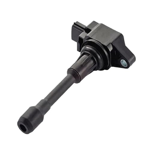 22448JA00C 22448-JA00C ԗp_΃RC Y TIIDA Cube Altima X-Trail Rogue Versa Sentra Qashqai/Infiniti M56 FX50 Ή(6Pcs)