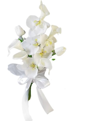 yY {  u[Pz43×30cmbEFfBOEuC_EOBE̓Eu[PgXpb A[gt[iӒjbXbObtEčEHE~Ήbu[gjAEʔb 78b