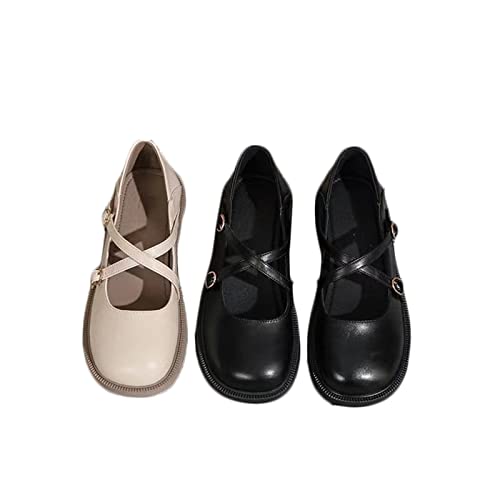 [JYTCGSU] fB[X pvX [WF[ C hCrOV[Y [t@[ pvX tbgV[Y [^pvX tHp ϖ ₷ ɂȂ ؂ V[Y rWlX d ʊw ʋ (ubN,21.5 c