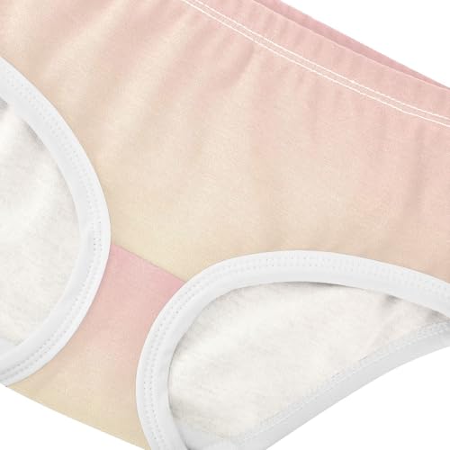 Joisal Toddlers Underwear Floral 2t Cotton Panties Little Girl Durable Briefs Undies Kids Blush Pink Cream Gradient4