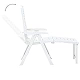 Tidyard Outdoor Klappliege Sonnenliege Liege Relax-Liegestuhl aus Kunststoff,Gartenliege Liegen Verstellbar Rückenlehne,Relaxliege Gartenmöbel Gartenstuhl Klappstuhl Lounger Recliner Chair