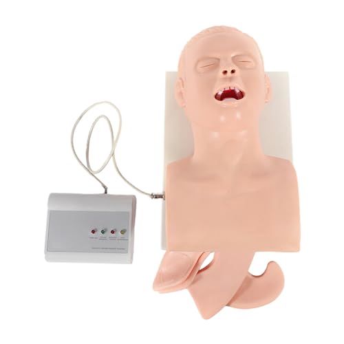 CRYBY Intubation Model, Intubation Airway Management Trainer Adult Oral Intubation Manikin Teaching Model with Alarm Machine, Endotracheal Intubation Human Study Teaching Model Intubation Simulator