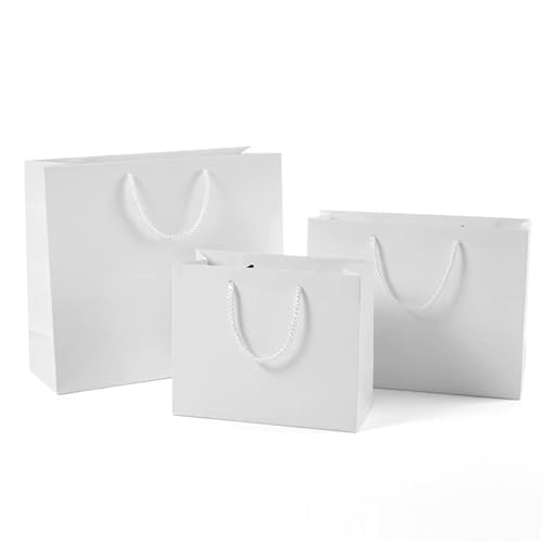 MtgobO 10Zbg 8J[񂰎 Vv IWiGfBV Vv n p Mtg v[g (iEj40*12}`*28, 10FzCg)