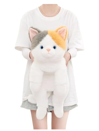 Foivozs �ʂ������ �L ���g�� ������ 45cm/ 65cm �ʂ������ �l�R �L ���A�� �ӂ�ӂ� ���X�����_�炩�� �������Q ���� �Q�� �Y���Q�� �q�� ������ ���� ���g�� �C�������������� �ʂ�����݃N�b�V���� ���@�\ �����n �\�t�@�[