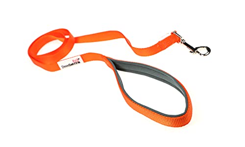 Doodlebone, Padded Dog Lead, Comfortable Dog Leash with Soft Neoprene Padded Handle, Strong Clip, 120cm Length
