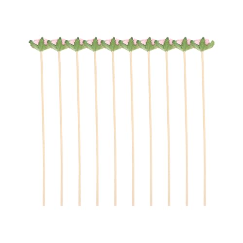 ANDRESLAD 10 Unidades Varillas de Ratán Aromáticas para Difusor Palos Naturales para Aceites Esenciales Sticks Decorativos para Ambiente Hogar y Oficina Fragancia Duradera