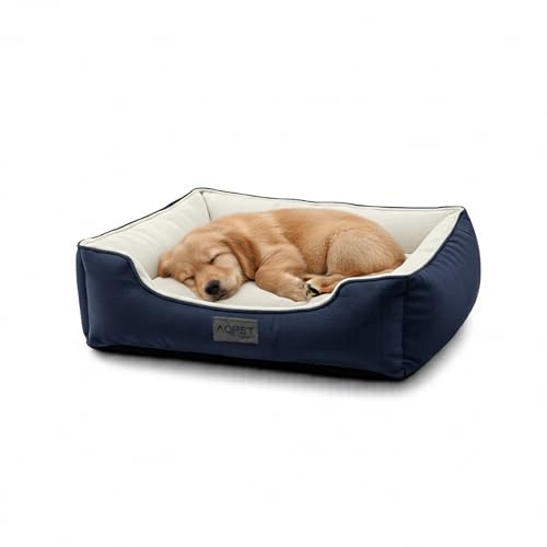 AQPET Aqpetfriends Sofy Cuccia per Cani e Gatti da Interno con Cuscino Morbido – Letto per Cani Lavabile con base antiscivolo – Lettino Confortevole per Animali Domestici 90x70cm, Blu
