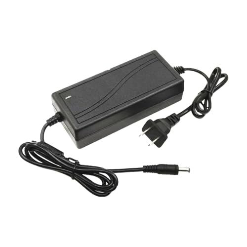 Adaptateur secteur 12V 4A 48W pour éliminer les sifflements électriques des moniteurs LCD